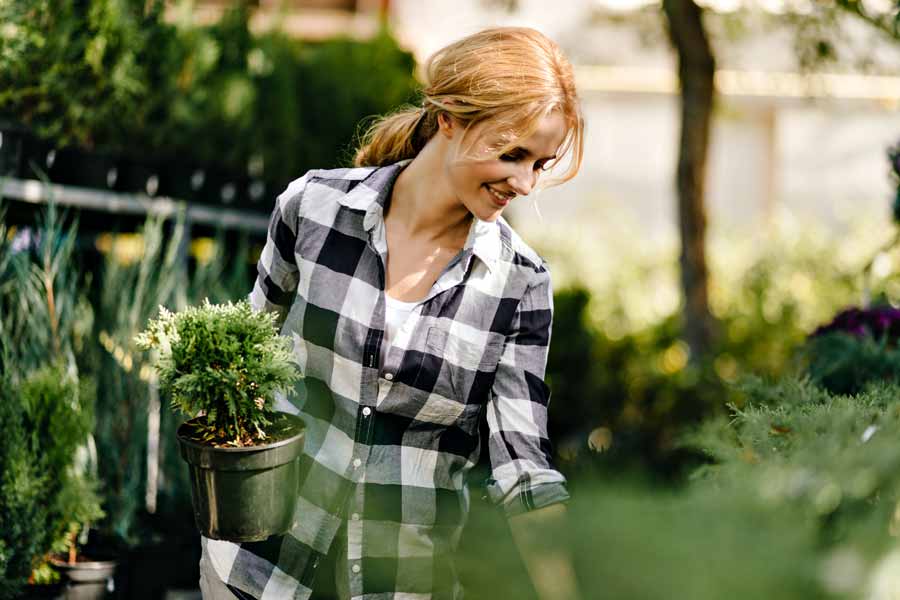 pepisud-pepiniere-jardinerie-producteur-lunel-plante-interieur-exterieur-particulier-1