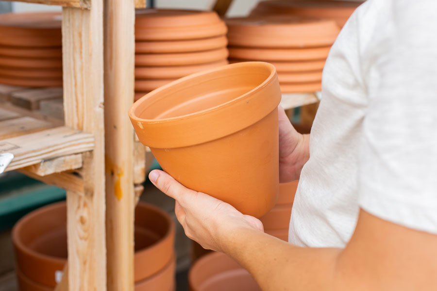 pepisud-pepiniere-jardinerie-producteur-lunel-plante-interieur-exterieur-particulier-pot-terre-cuite-resine-plastique-recycle-1
